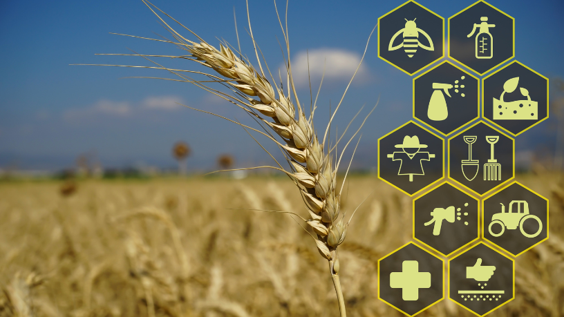 Investir em agricultura regenerativa revitaliza solos e melhora resultados, afirma Aldo Vendramin.